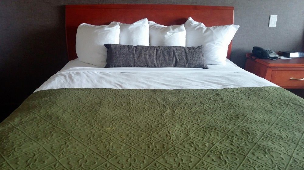 קמלופס Quality Inn מראה חיצוני תמונה