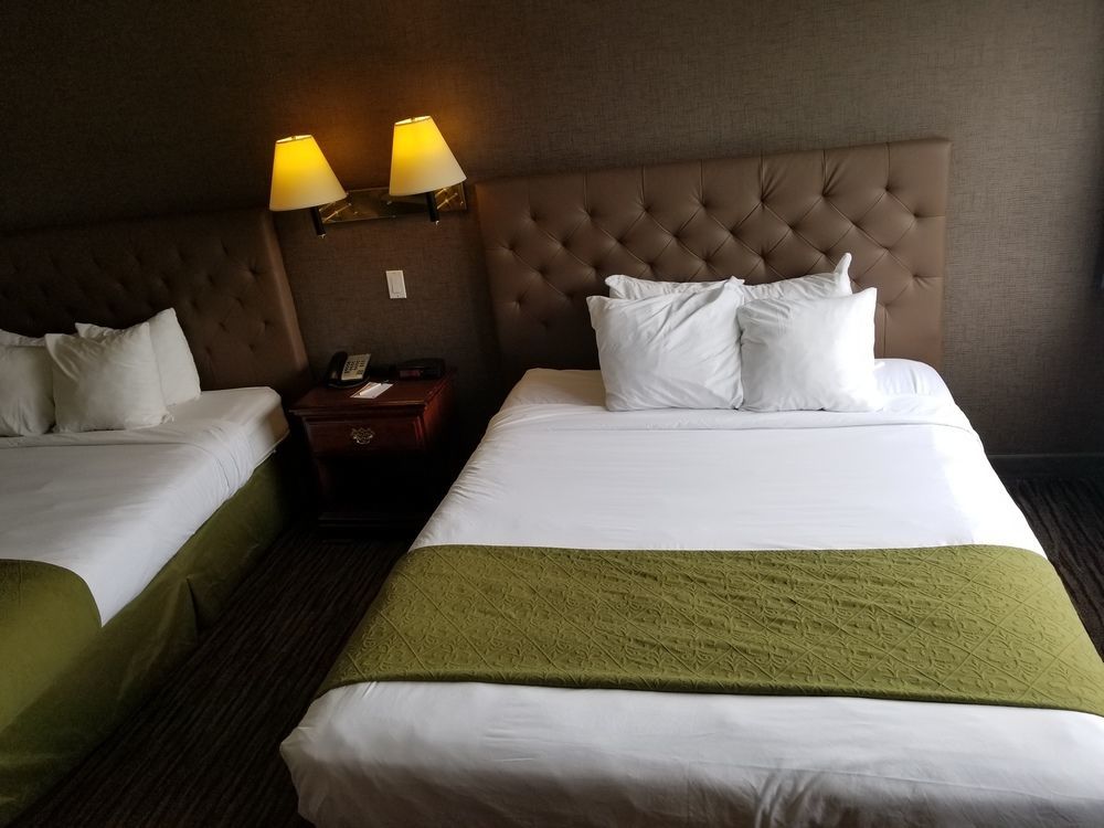 קמלופס Quality Inn מראה חיצוני תמונה